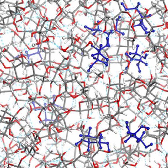 Cellulose Molecular Structure